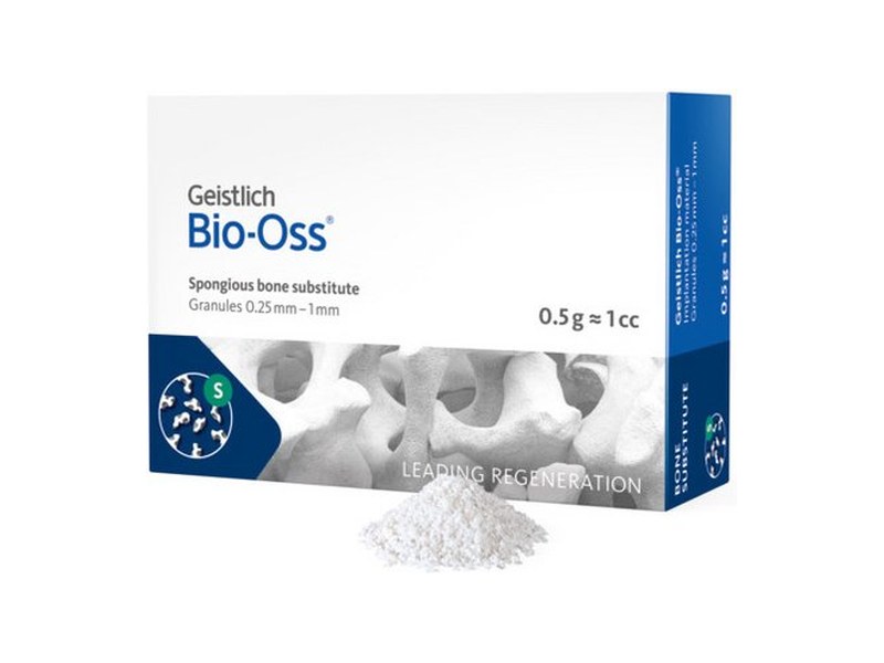 Geistlich Bio-Oss 골이식재 (제조사 이미지)